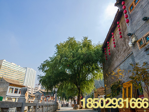 昂昂溪纪录片摄制中的采访技巧和创意呈现